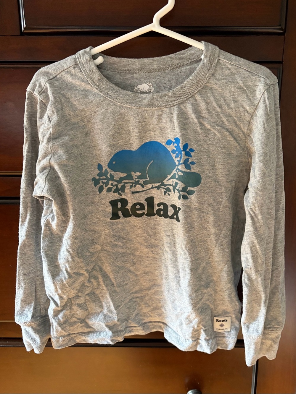Roots Kids Long Sleeve Tee in Gray with Blue Graphic